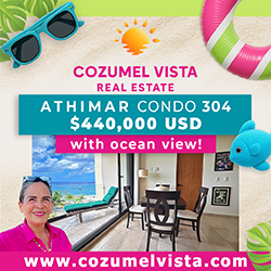 Cozumel Vista Real Estate