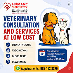 Cozumel Humane