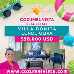 Cozumel Vista Real Estate