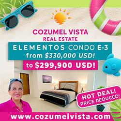 Cozumel Vista Real Estate