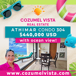 Cozumel Vista Real Estate
