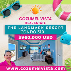 Cozumel Vista Real Estate