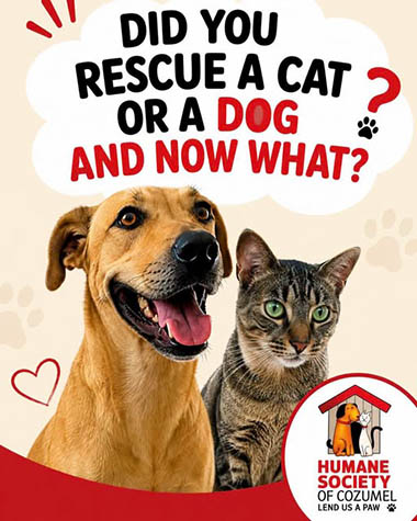 Cozumel Humane
